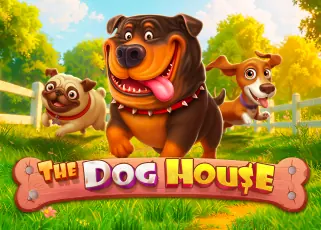 ligaz888 The Dog House ทดลองเล่นฟรี